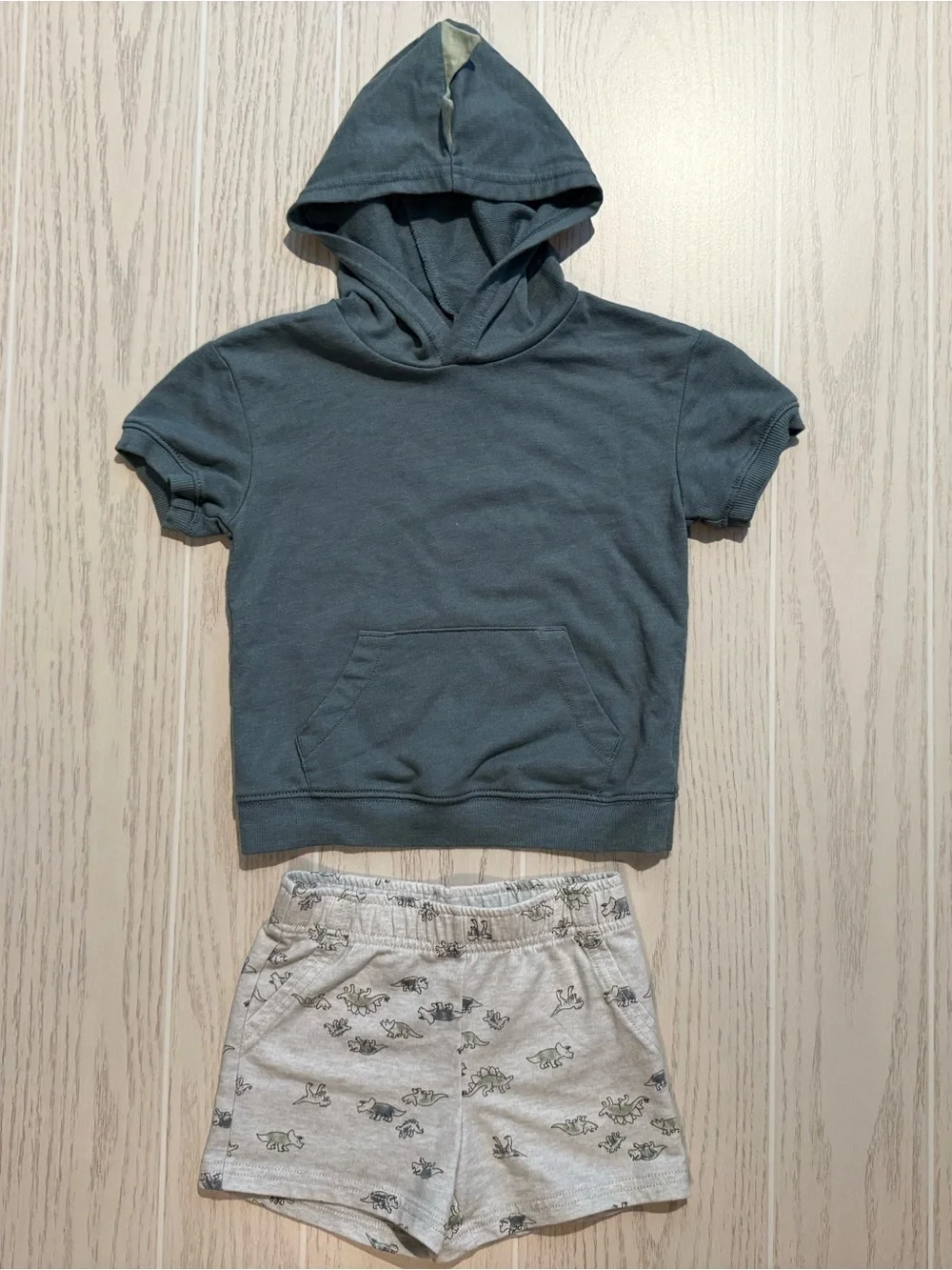 Carter’s Boys 2T Dinosaur Hoodie Shorts 2 Piece Outfit Set Gray Green